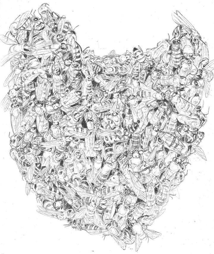 Magdalena Glas Bienenbart