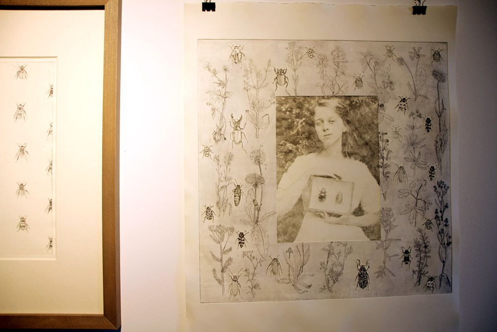 Magdalena Glas morgen grau